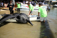 2015 Great Dock Canoe Race