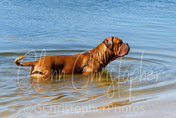 General Photos - 2025 @GChristopherPhotos