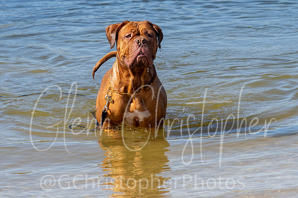 General Photos - 2025 @GChristopherPhotos