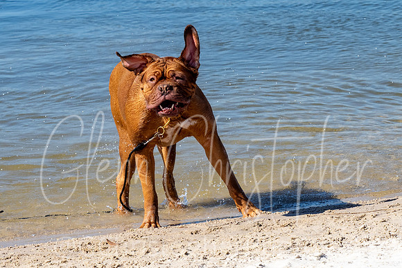 General Photos - 2025 @GChristopherPhotos