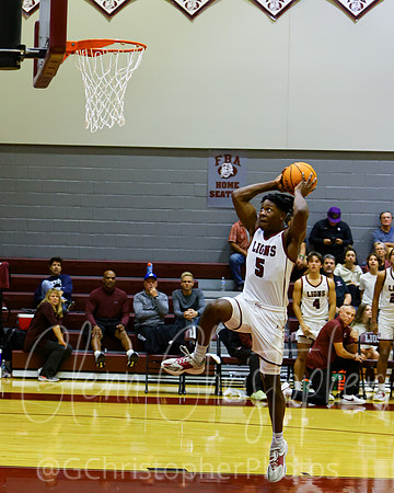 FBA Basketball - 2022