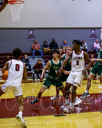 FBA Basketball - 2022
