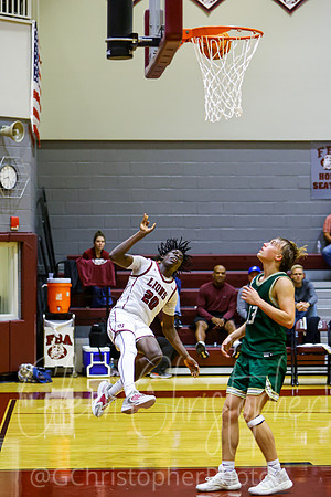 FBA Basketball - 2022