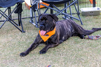 General Photos - 2026 @GChristopherPhotos