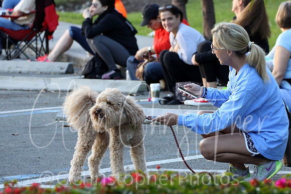 NDN Half Marathon Naples, FL 2015