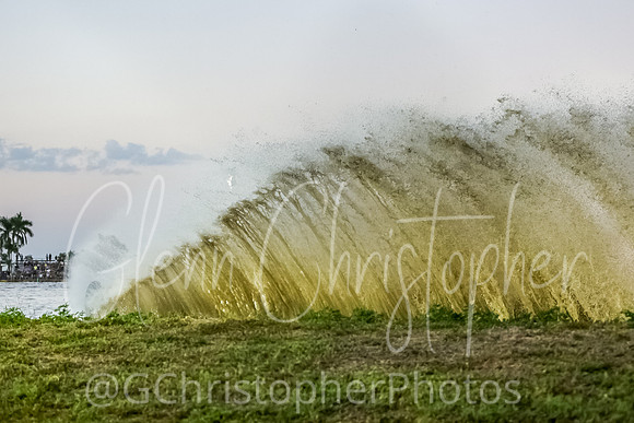 Swamp Buggy Races - March 2023