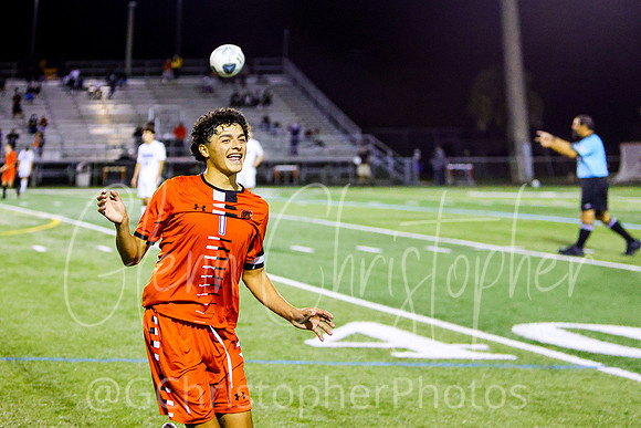 Lely regional playoff game