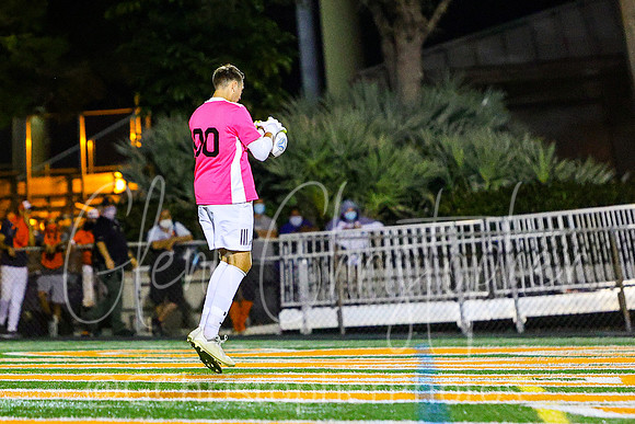 Lely regional playoff game