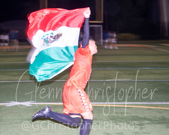 Lely regional play off game