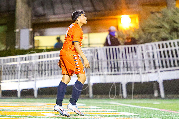 Lely regional playoff game