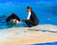 Miami Seaquarium July 2012