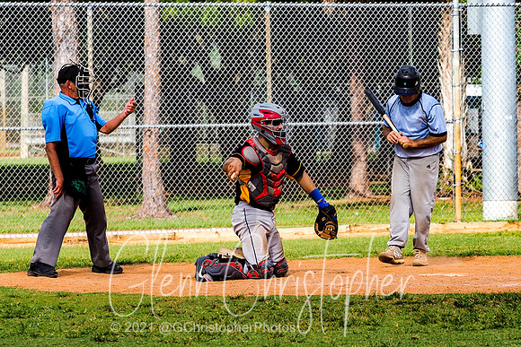 Mens Senior Baseball League - Naples Spring 2021