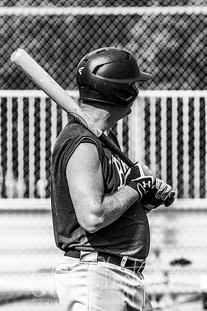 Mens Senior Baseball League - Naples Spring 2021