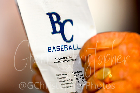 Barron Collier Baseball 2021
