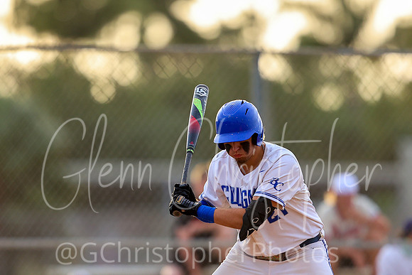 Barron Collier Baseball 2021