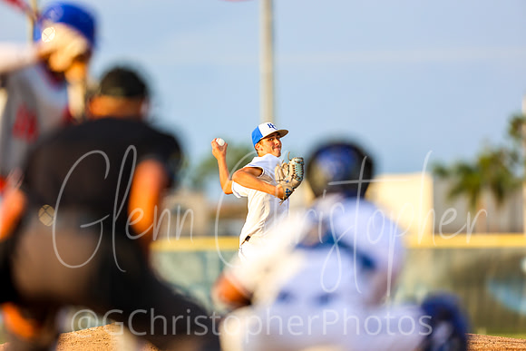 Barron Collier Baseball 2021