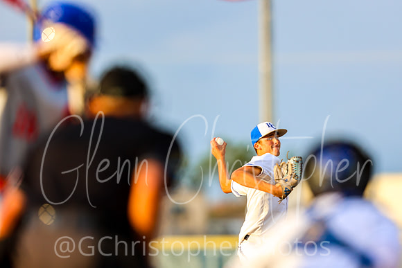 Barron Collier Baseball 2021