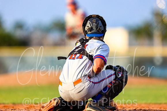 Barron Collier Baseball 2021