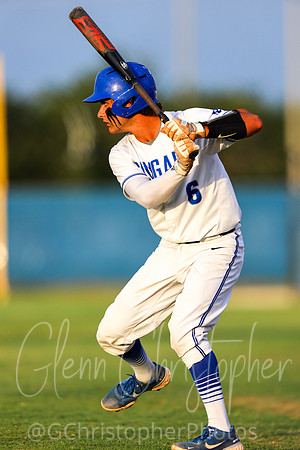Barron Collier Baseball 2021