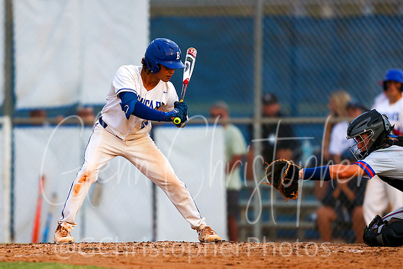 Barron Collier Baseball 2021