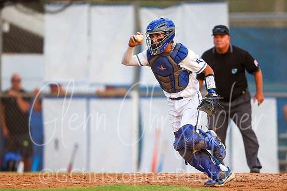 Barron Collier Baseball 2021