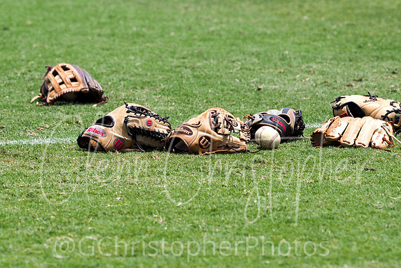 Barron Collier Baseball 2021