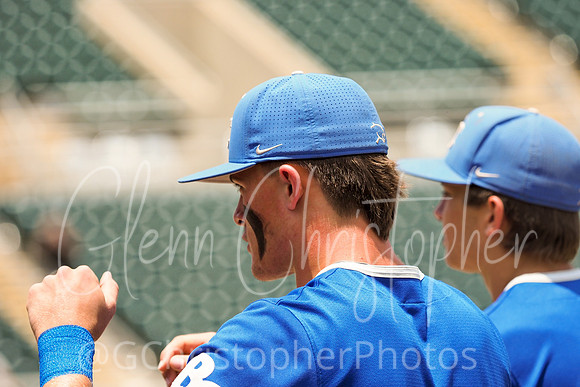 Barron Collier Baseball 2021