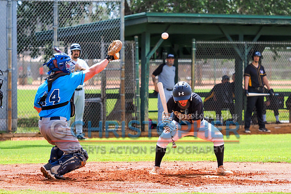 Mens Senior Baseball League - Naples Summer 2021