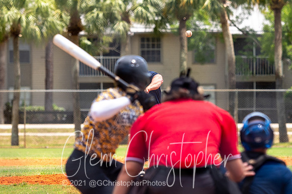 Mens Senior Baseball League - Naples Spring 2021