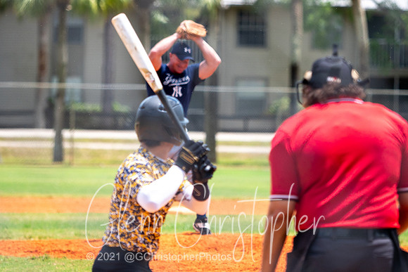 Mens Senior Baseball League - Naples Spring 2021
