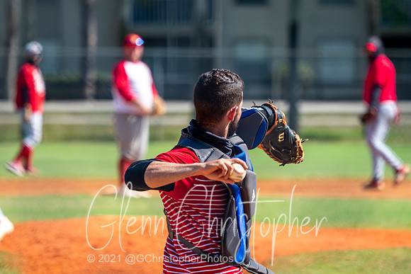 Mens Senior Baseball League - Naples Spring 2021
