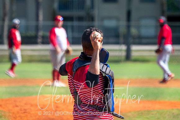 Mens Senior Baseball League - Naples Spring 2021