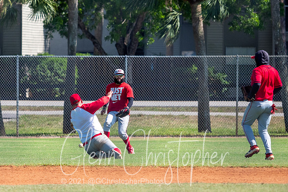 Mens Senior Baseball League - Naples Spring 2021