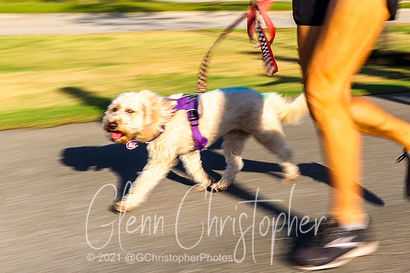 Girls on the Run - Spring 2021
