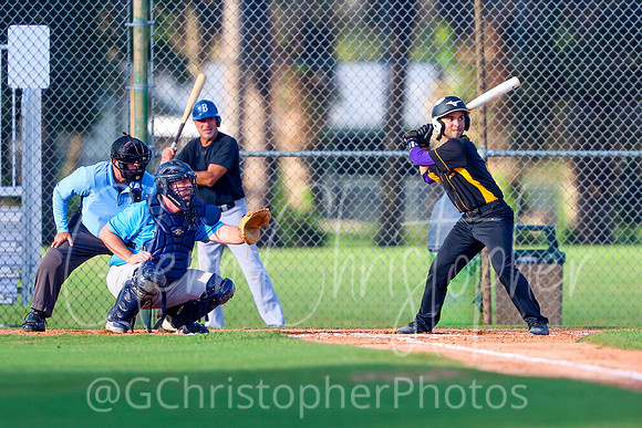 Mens Senior Baseball League - Naples Spring 2021