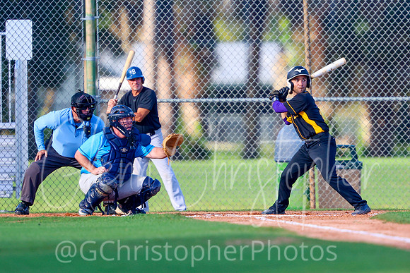 Mens Senior Baseball League - Naples Spring 2021