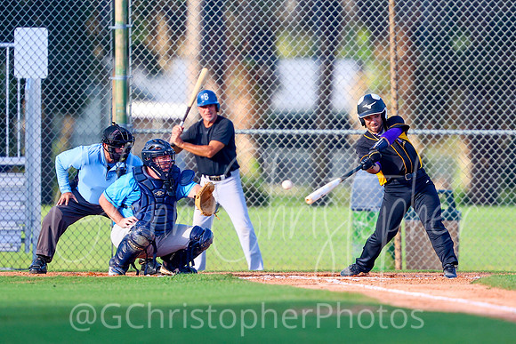 Mens Senior Baseball League - Naples Spring 2021