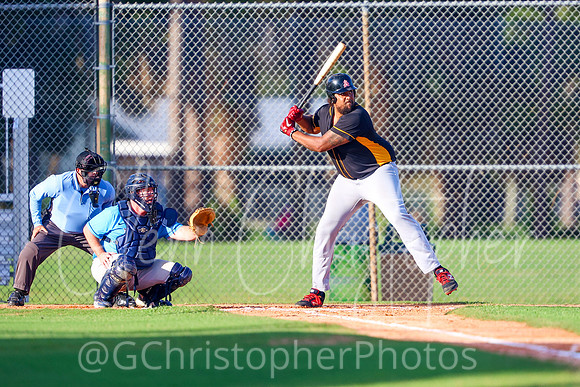 Mens Senior Baseball League - Naples Spring 2021