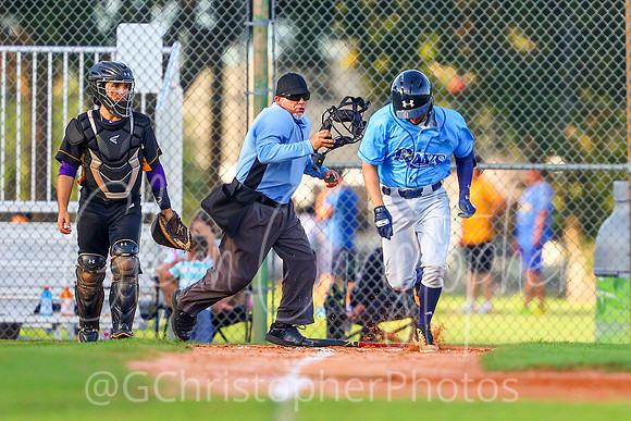 Mens Senior Baseball League - Naples Spring 2021