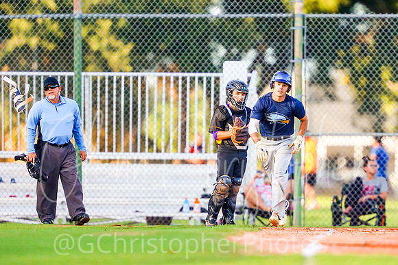 Mens Senior Baseball League - Naples Spring 2021