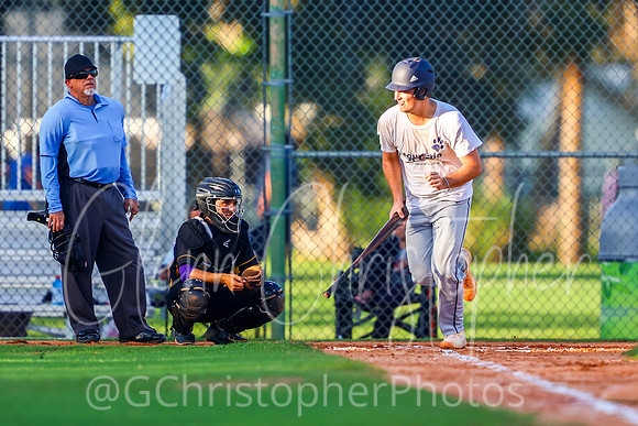 Mens Senior Baseball League - Naples Spring 2021