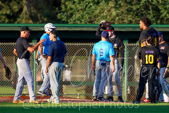 Mens Senior Baseball League - Naples Spring 2021