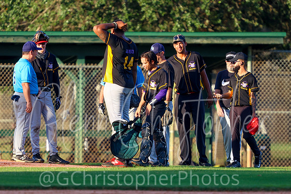 Mens Senior Baseball League - Naples Spring 2021