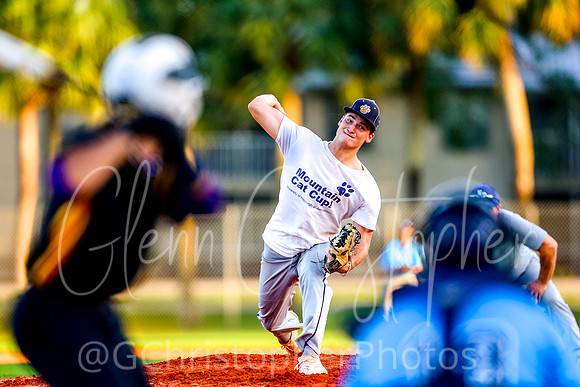 Mens Senior Baseball League - Naples Spring 2021