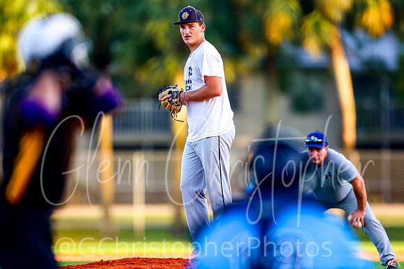 Mens Senior Baseball League - Naples Spring 2021
