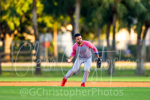 Mens Senior Baseball League - Naples Spring 2021
