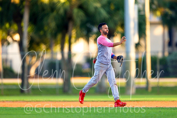 Mens Senior Baseball League - Naples Spring 2021