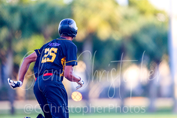 Mens Senior Baseball League - Naples Spring 2021
