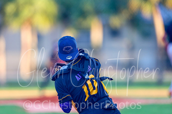 Mens Senior Baseball League - Naples Spring 2021