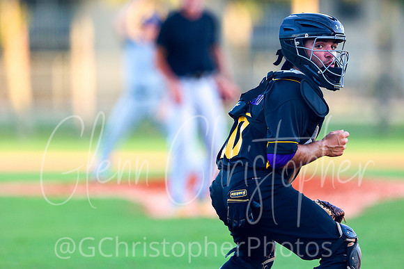 Mens Senior Baseball League - Naples Spring 2021